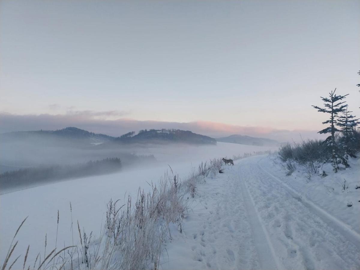 Ferienhaus Lena Im Sauerland Direkt Am Hennesee Meschede Buitenkant foto