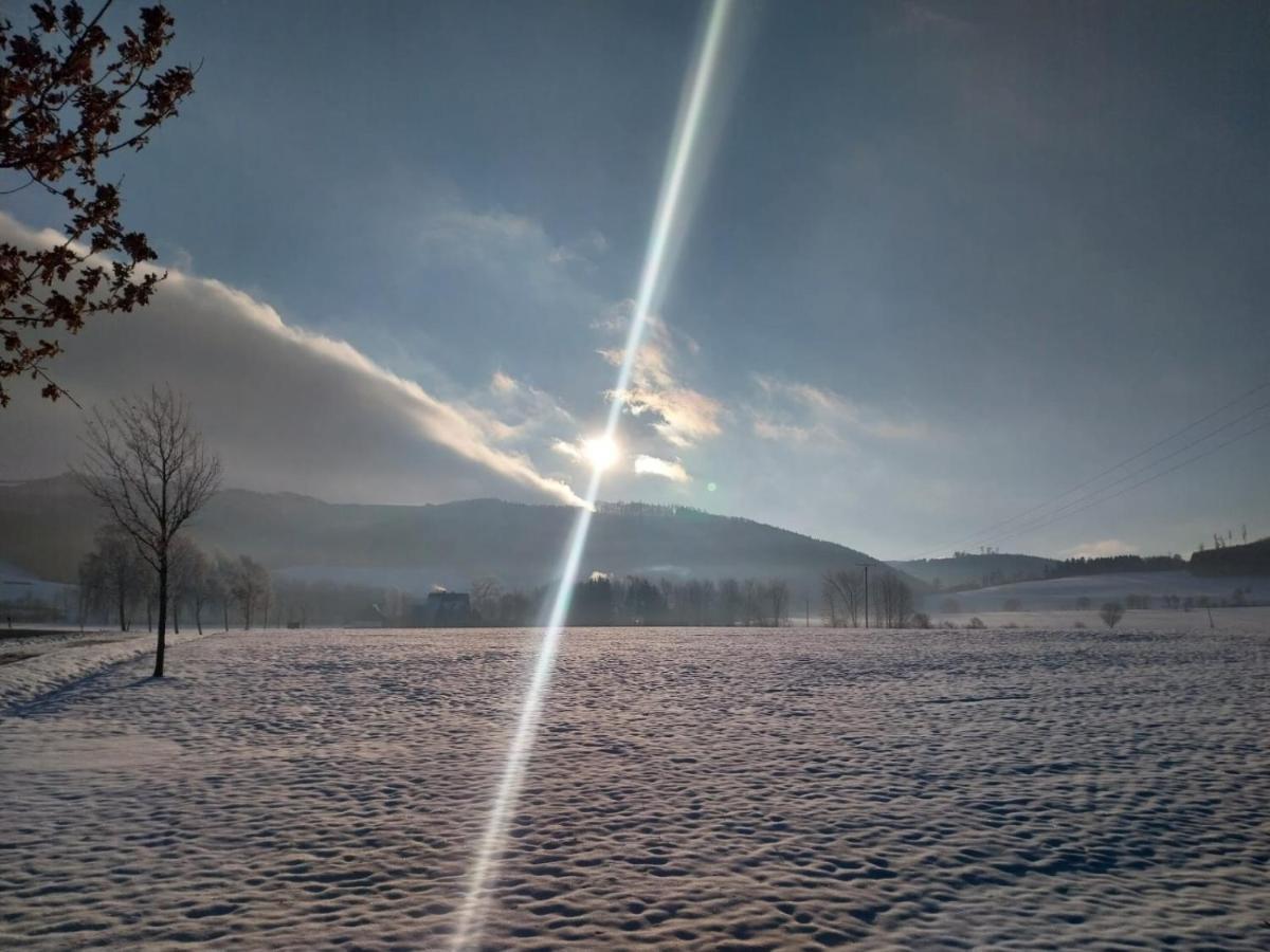 Ferienhaus Lena Im Sauerland Direkt Am Hennesee Meschede Buitenkant foto