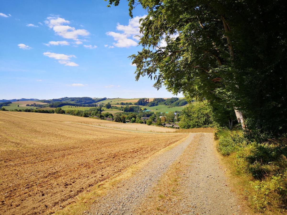 Ferienhaus Lena Im Sauerland Direkt Am Hennesee Meschede Buitenkant foto