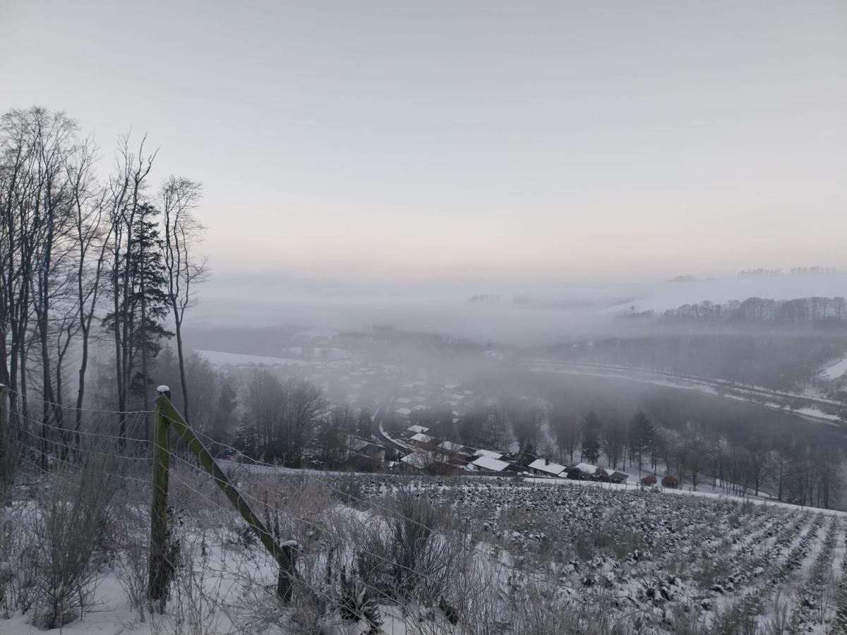 Ferienhaus Lena Im Sauerland Direkt Am Hennesee Meschede Buitenkant foto